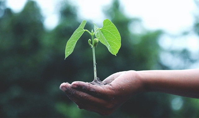 Sostenibilita-e-sicurezza-alimentare-trend-e-strategie-per-il-futuro